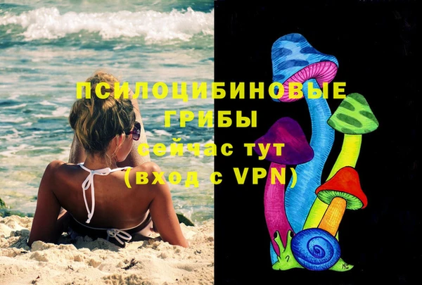 дмт Алзамай