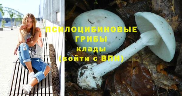 дмт Алзамай