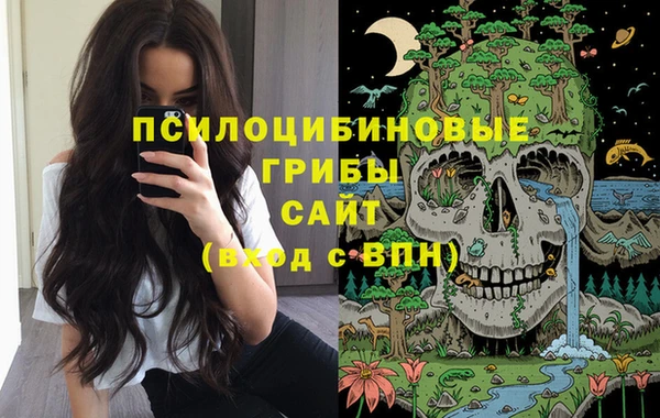 дмт Алзамай